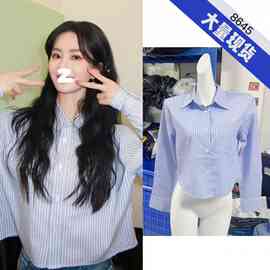 刘诗诗同款蓝色条纹长袖衬衫女士早秋新款上衣高级感气质通勤衬衣