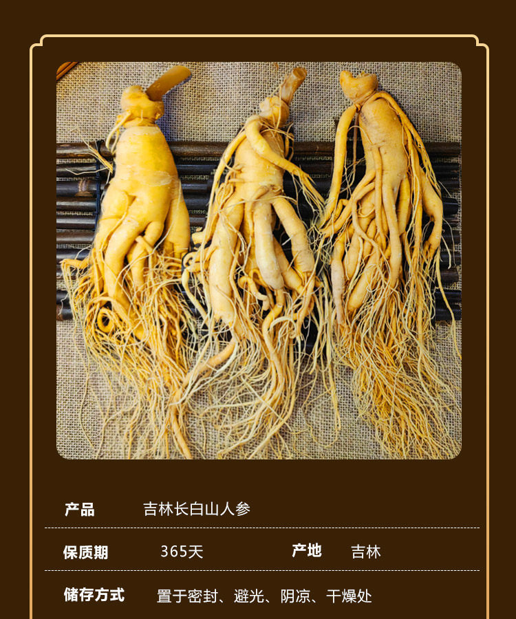 Whole Fresh Ginseng Root from Changbai Mountain Jilin for Soup and Wine Infusion Large Garden Ginseng Ren Shen key features