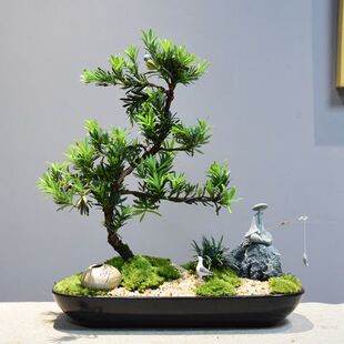 �j���_�h���辰���͘�ͥԺ�Ϙ���ʽ�k���ҿ͏d�҃�ֲ���^�p������