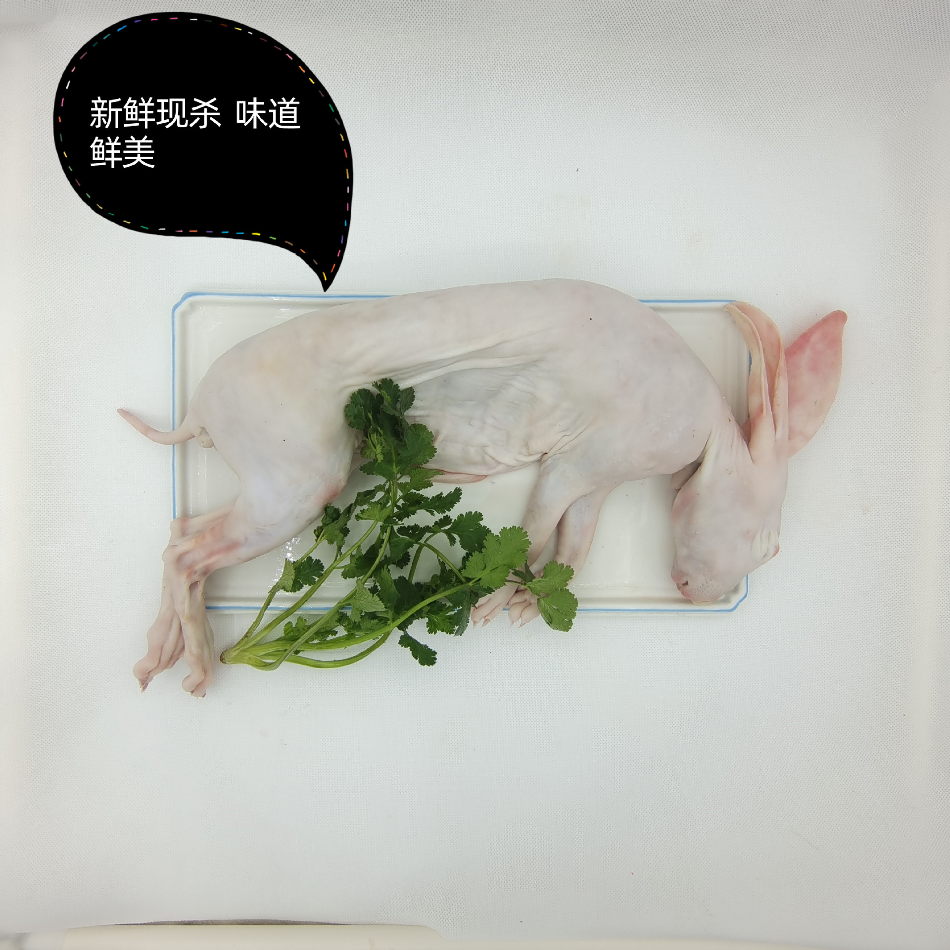 IMG_20220309_155357_副本