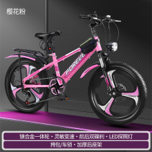 永久儿童山地自行车7--8-9-10-13岁男孩小学生18寸变速20女大童车