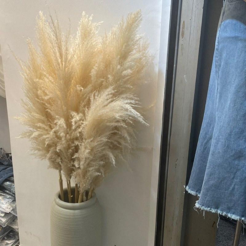 网红芦苇干花花束天然蒲苇客厅摆件超大婚庆拍照装饰仿真永生花|undefined