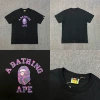 XX085 Black Purple