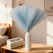 ���汱�W�JȔ����ë�[���͏d�[��ins�羳��Ȕ�ݻ�Y�b������