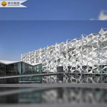 PTFE膜结构，网格膜大跨度建筑 白色透光立面膜结构 包设计包安装