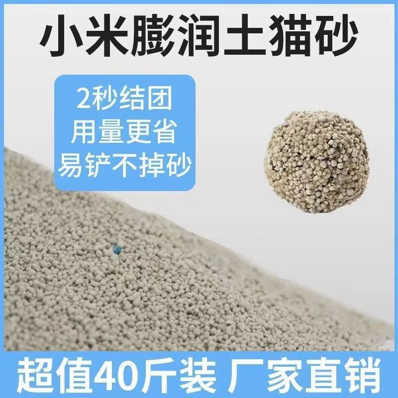 3489fab1-9f5a-476a-a756-b529759481e3.jpe