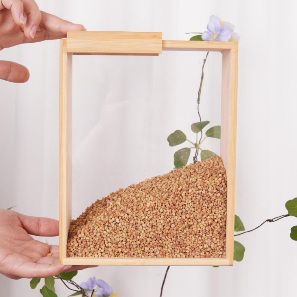 2025-04-17 17:40:04.jpg