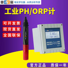 上海PHG-21D工业在线PH/ORP计配PHGF-27B沉入式pH发送器