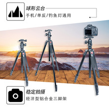 缔杰 便携三脚架摄影摄像户外直播三角架手机相机直播钓鱼灯支架