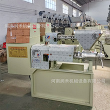 小型油坊榨油机生产线商用花生菜籽油葵榨油机液压大型榨油机机器