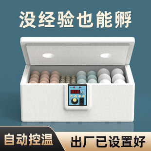Incubator Small Water Bed Rudd Chicken Egg Incubator Household Fully Automatic Incubator Smart Incubator Chicken Duck Goose