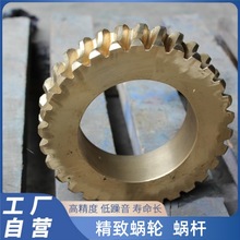 工厂加工蜗轮蜗杆大传动比黄铜涡轮蜗杆变速器精密连接传动件