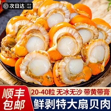扇贝肉带黄鲜活冷冻手工现剥特大号新鲜扇贝肉无冰沙蒜蓉粉丝商用