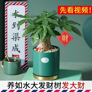 �lؔ��С���� �k���ҿ͏d���B�Gֲ �҃�����ˮ��ˮ�B�Ԅ���ˮֲ��