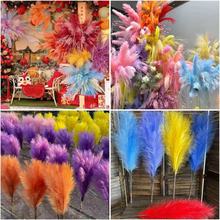 孔雀草烟花装饰芦苇草仿真花婚庆商场美陈场景布置粉黛白日焰火