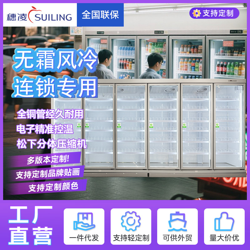 Sui Ling Freezer Refrigerated Display Cabinet Commercial Copper Tube Air-Cooled Frost-Free Beverage Split Machine Refrigerator Wb Model Source Factory