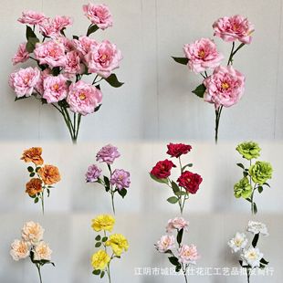 ��Y���滨ɽ�軨���^õ�廨�軨��õ��ֻ���^��Y��ˇ��������