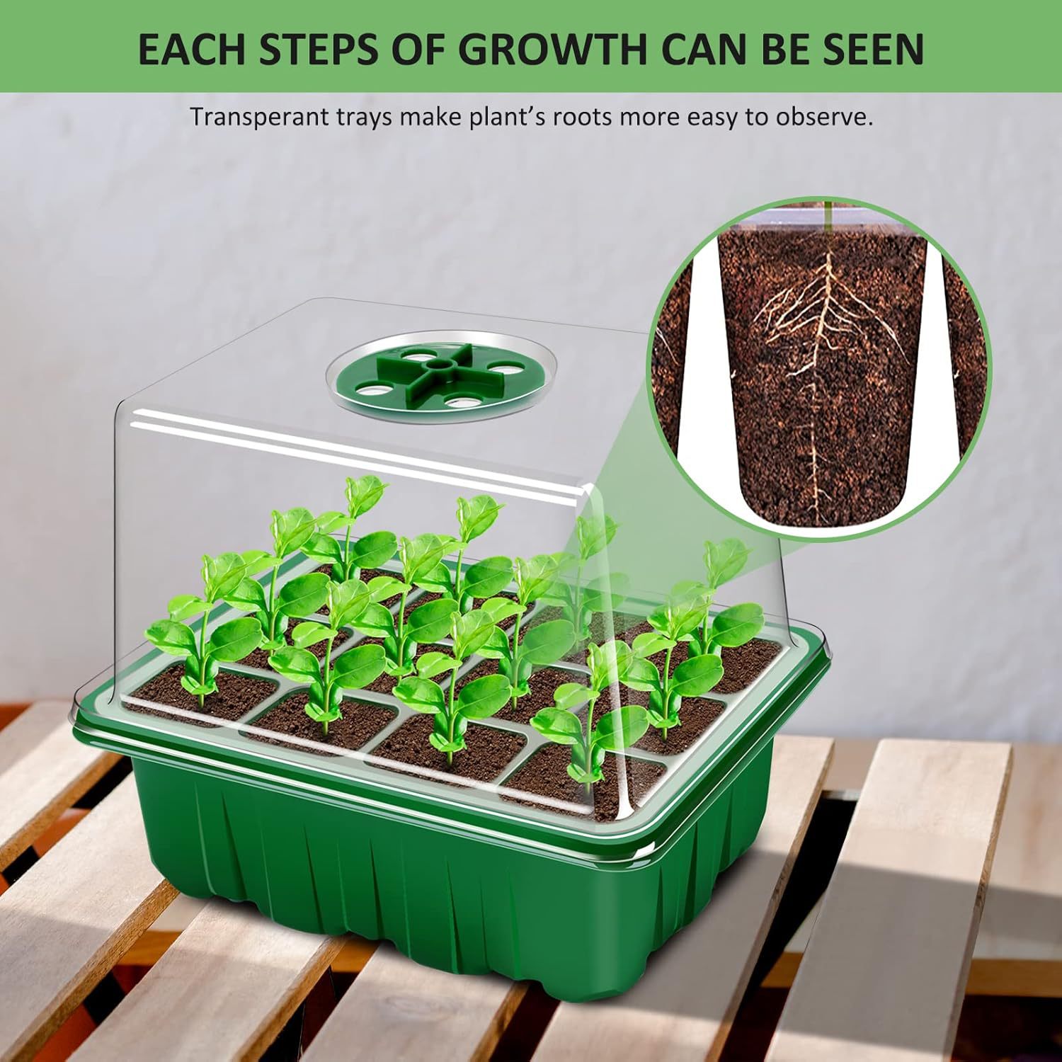 212557d565a2e9d02581f477a14164