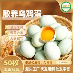 ���u����؛�r�����r���u��50ö�r�u��ʡ�����䵰�G�����u�����l