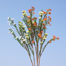 单枝多叉澳洲彩梅蜡花 仿真花假花 家居摆放摄影婚庆装饰花艺花卉