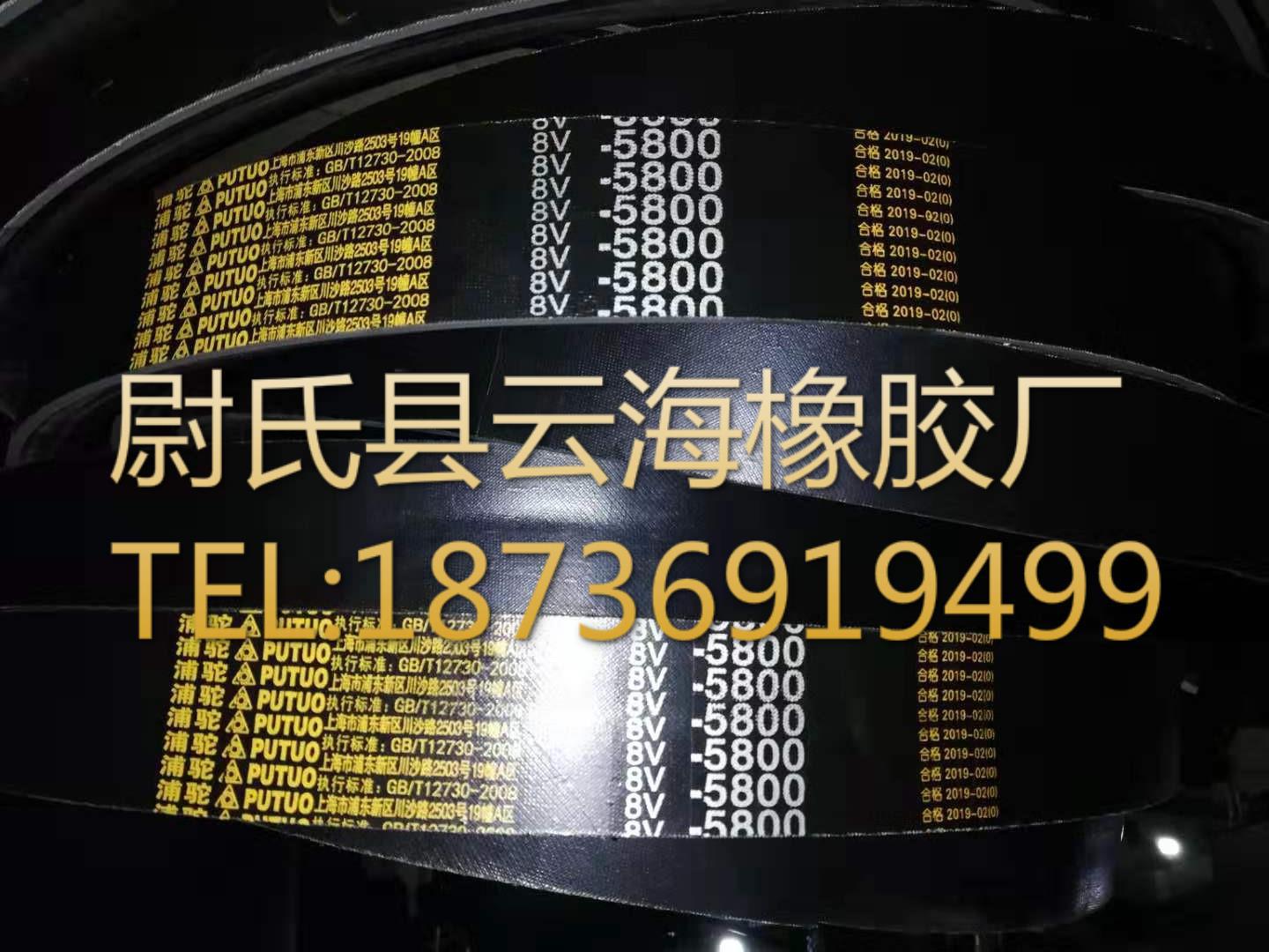 8V联组-5800窄V联组带  8V联组三角带  机电设备用8V联组三角带
