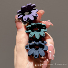 ����С̖ˮ荻���ץ�AŮ�W�t2023�¿���|������߅�A���X����l�A