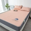 Mount Fuji-Sakura Powder Bed Model