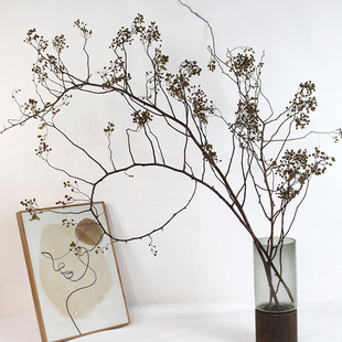 2026ɽ�w���������bɻ��廨�⾳�[��լ���L���l�ɘ�֦�滨����