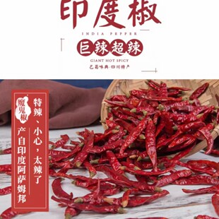 ����������ӡ���M�����������㺣��������������������؛