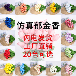 �羳���u pu���������� �Ҿ��bu׃�ٻ��[�����÷Շ��е��߻���