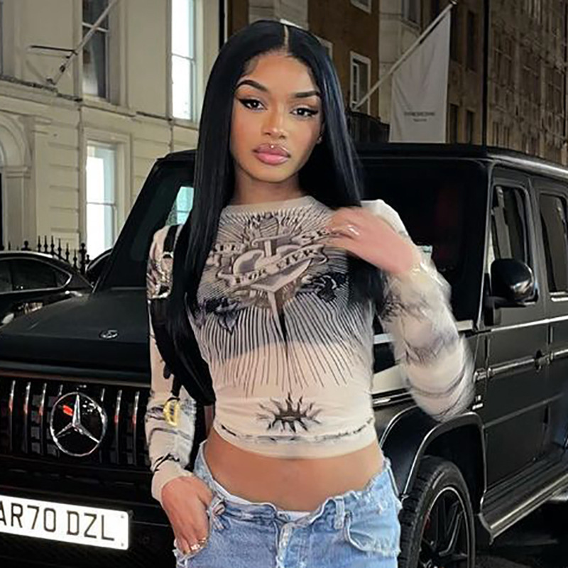Cross-border 2024 European and American Autumn New Round Neck Long Sleeve Pullover Printed Micro-transparent Fashion Casual Women's Top in stock