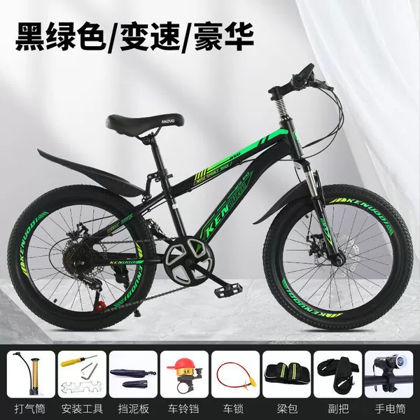 Shock-absorbing green bike shifter (brake handle) disc brake