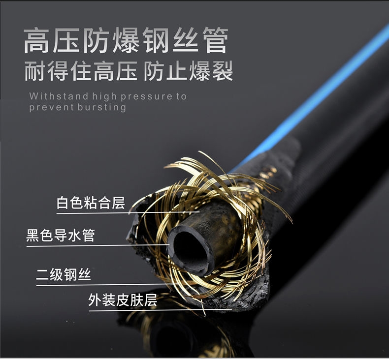 German black cat car washing machine artifact high pressure water pump high power car household 220V portable car brush gun