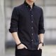 Summer Oxford Long-sleeved Shirt Men's Spring and Autumn Middle-aged and Young Business Casual Foreign Trade Men's Thin Trendy Shirt