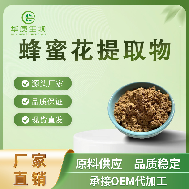 蜂蜜花提取物20:1 柠檬香蜂草提取物 蜂蜜花提取物 现货供应 包邮