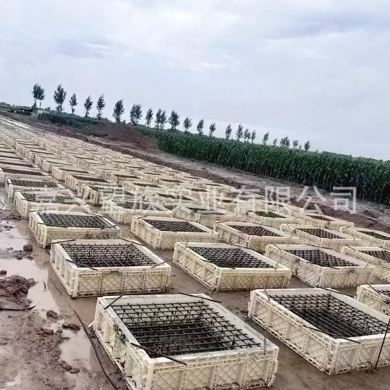 基础垫层垫石塑料模板桥梁CFG桩帽现浇模板垫石承台塑料建筑模板-阿里巴巴