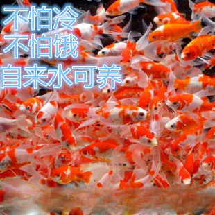 ����С�t�����a�^���l���\�����~С����ɫ���l���l���T�\�~�^�p�~