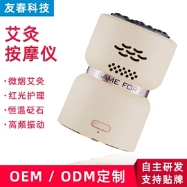 电子美容仪;美容导入仪;其他美妆工具