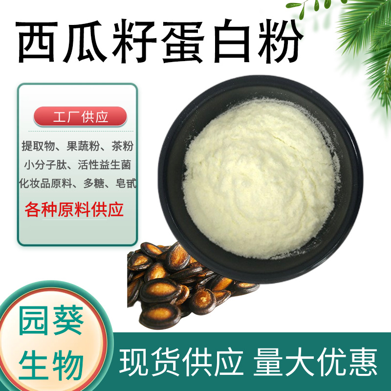 西瓜籽蛋白粉40%60%西瓜籽提取物 另有蚕豆蛋白 多规格厂家现货