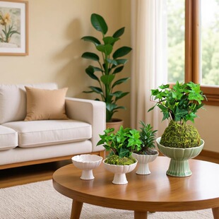 ̦�\��ˮ��ֲ��M������������������΢���^�辰�Gֲ�F��Ӂ�����