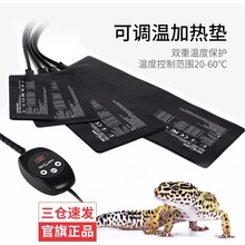 Reptizoo�����ӟ�|�ؿ����x��a�،�������،m�������B���؉|