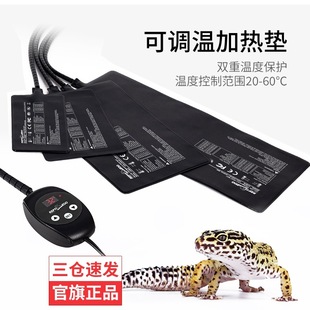 Reptizoo�����ӟ�|�ؿ����x��a�،�������،m�������B���؉|