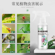 xֲﻨݹ߼t֩򻚤x¼xxșóx