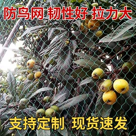 其他塑料网;袋状塑制品;包装制品配件