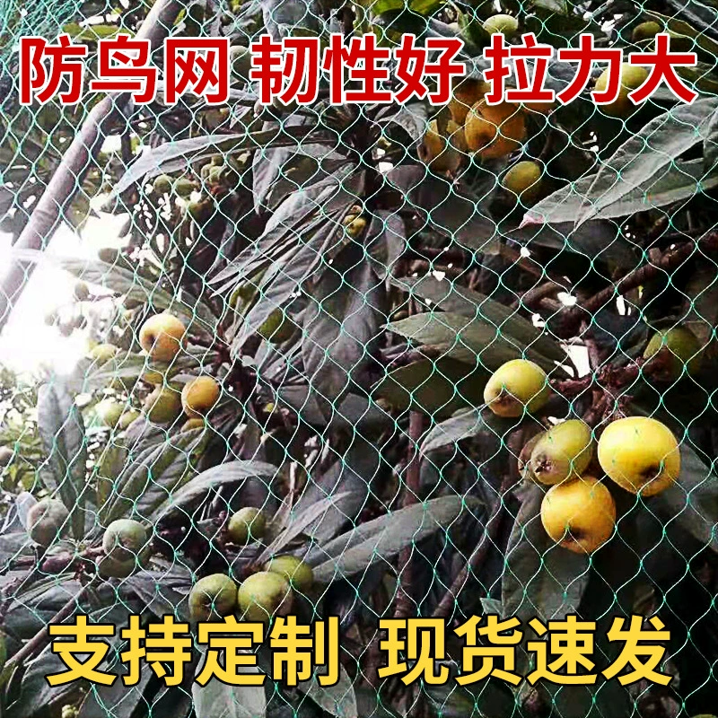 Сетка от птиц для фруктовых деревьев в саду, сетка для сушки, защитная сетка из ПЭ, зеленая сетка от птиц для виноградных и вишневых деревьев.