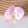 3D film powder No. 1 (small)