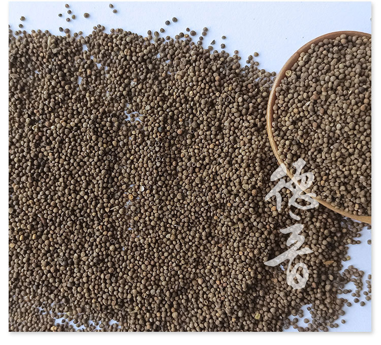Perilla Seed Zi Su Zi 500g Dried Fructus Perillae Culinary Herb from Hebei key features