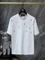 LS White 8761