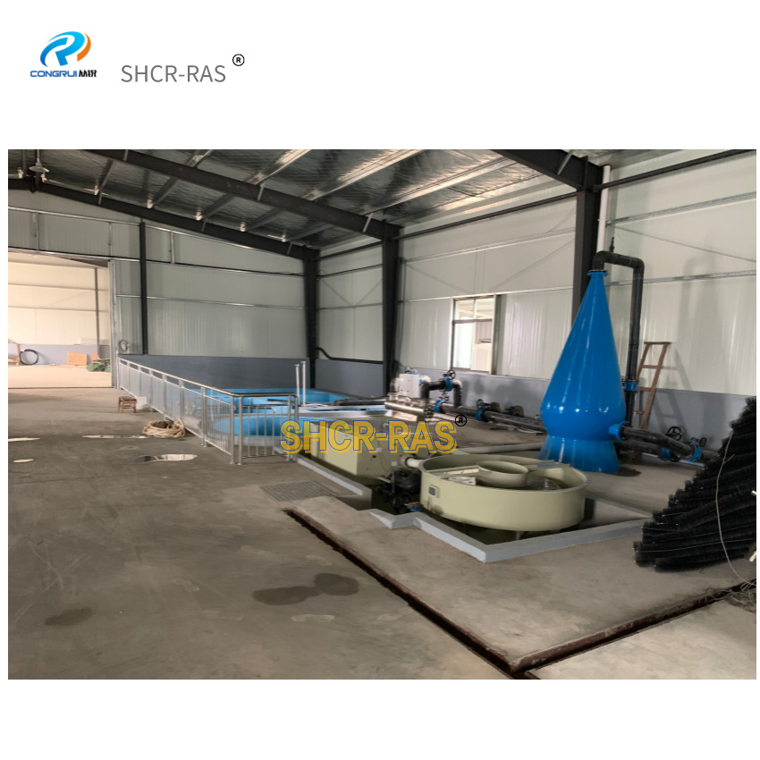 从锐新型循环水混合鱼类室内工厂化暂养水处理设备智能养殖系统