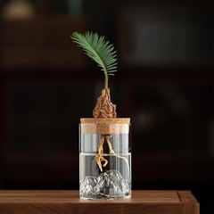 水培植物の小さい盆栽の事務室のデスクトップのお茶のいくつかの緑の植栽の置物は山の瓶の怠け者の小さい花瓶の小さい景観を見ます。